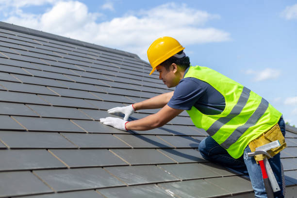 Roof Gutter Cleaning in North Riverside, IL