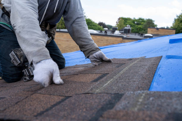 Quick and Trustworthy Emergency Roof Repair Services in North Riverside, IL